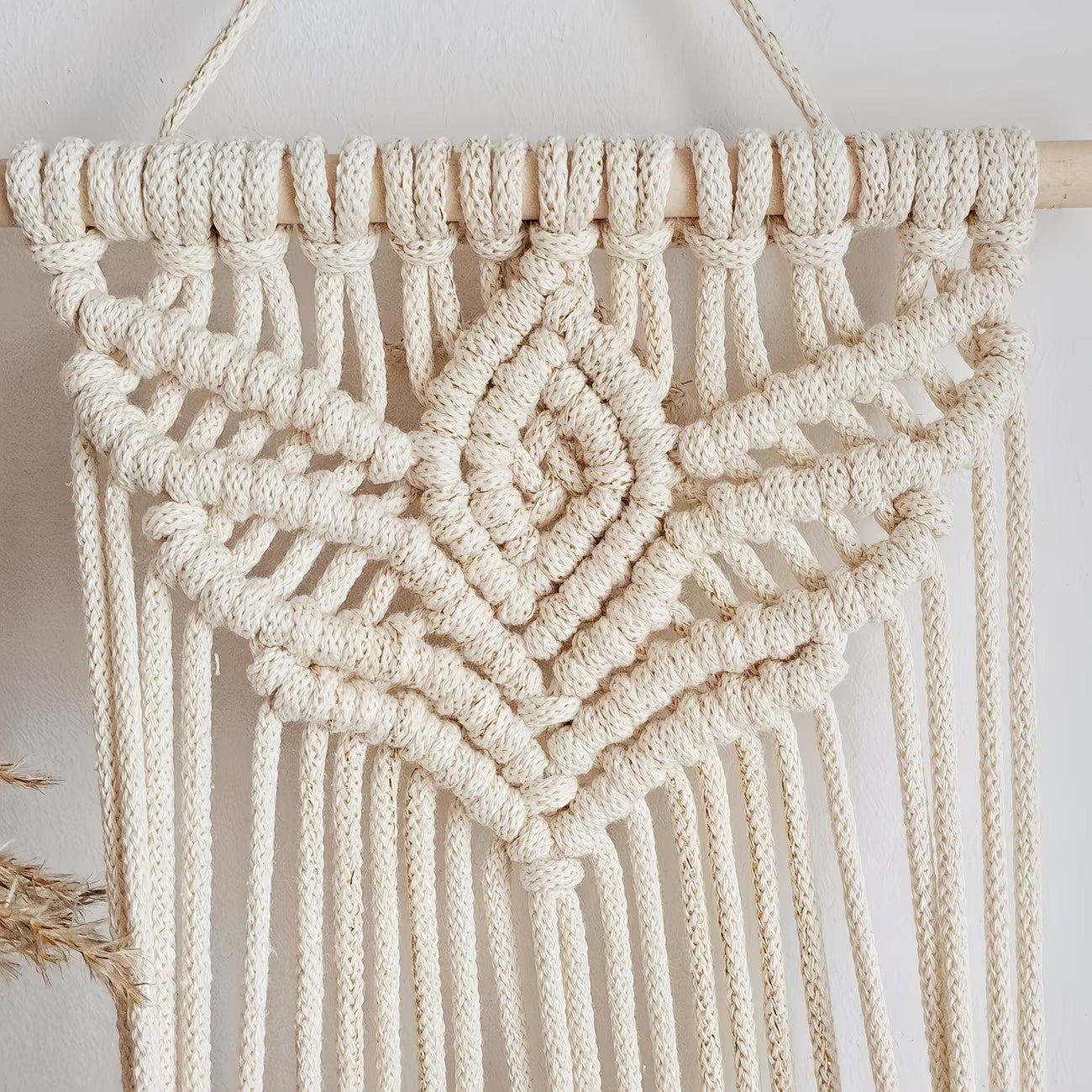 Wall-Mounted Plant Hanger with a Knotted Cord