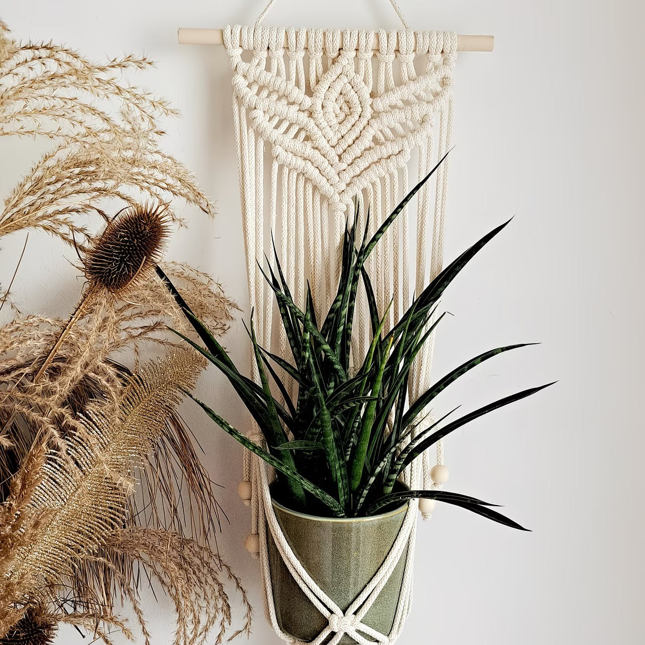 Wall-Mounted Plant Hanger with a Knotted Cord