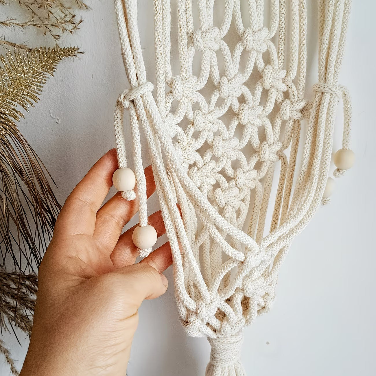 Wall-Mounted Plant Hanger with a Knotted Cord