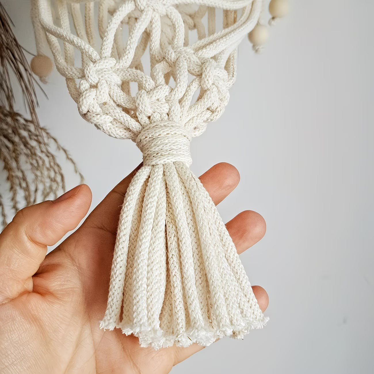Wall-Mounted Plant Hanger with a Knotted Cord